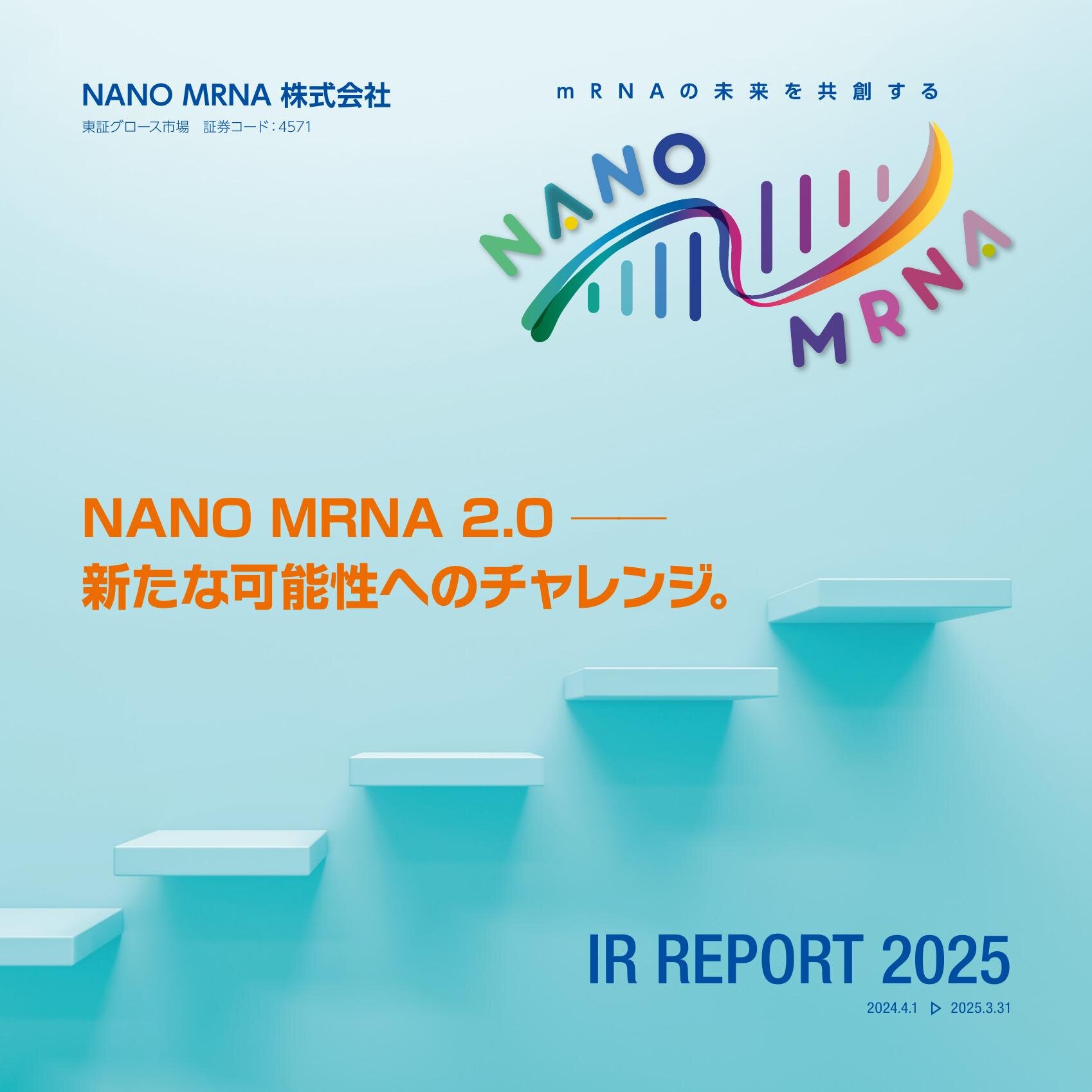 2025年3月期（第29期）